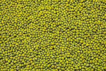 Green Mung Beans